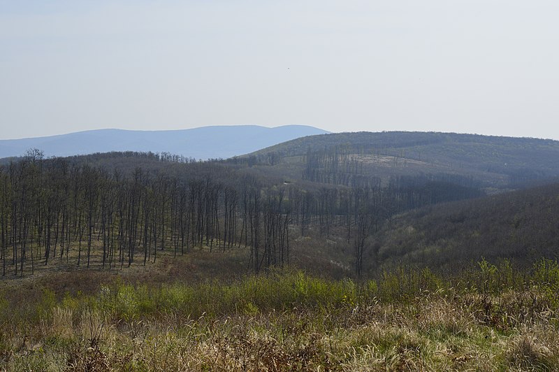 File:Villó-bérc - panoramio.jpg