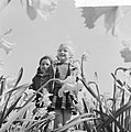 Voorjaar kinderen in een narcissenveld, Bestanddeelnr 916-3084.jpg