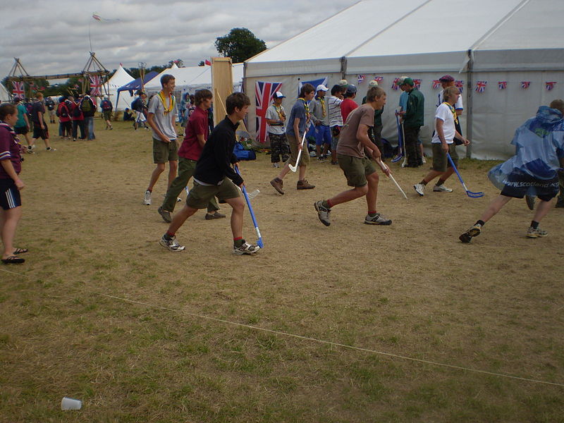 File:WSJ2007 TerraVille Shinty 1.JPG