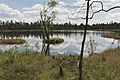 Wildsee bei Kaltenbronn