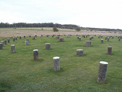How to get to Woodhenge with public transport- About the place