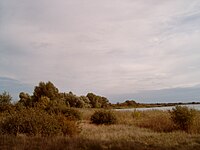 Blick auf das Südostufer der Halbinsel Wusterau über den Möserschen See