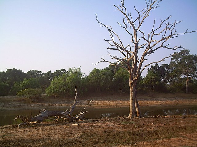 Surface water becomes critical in the dry season