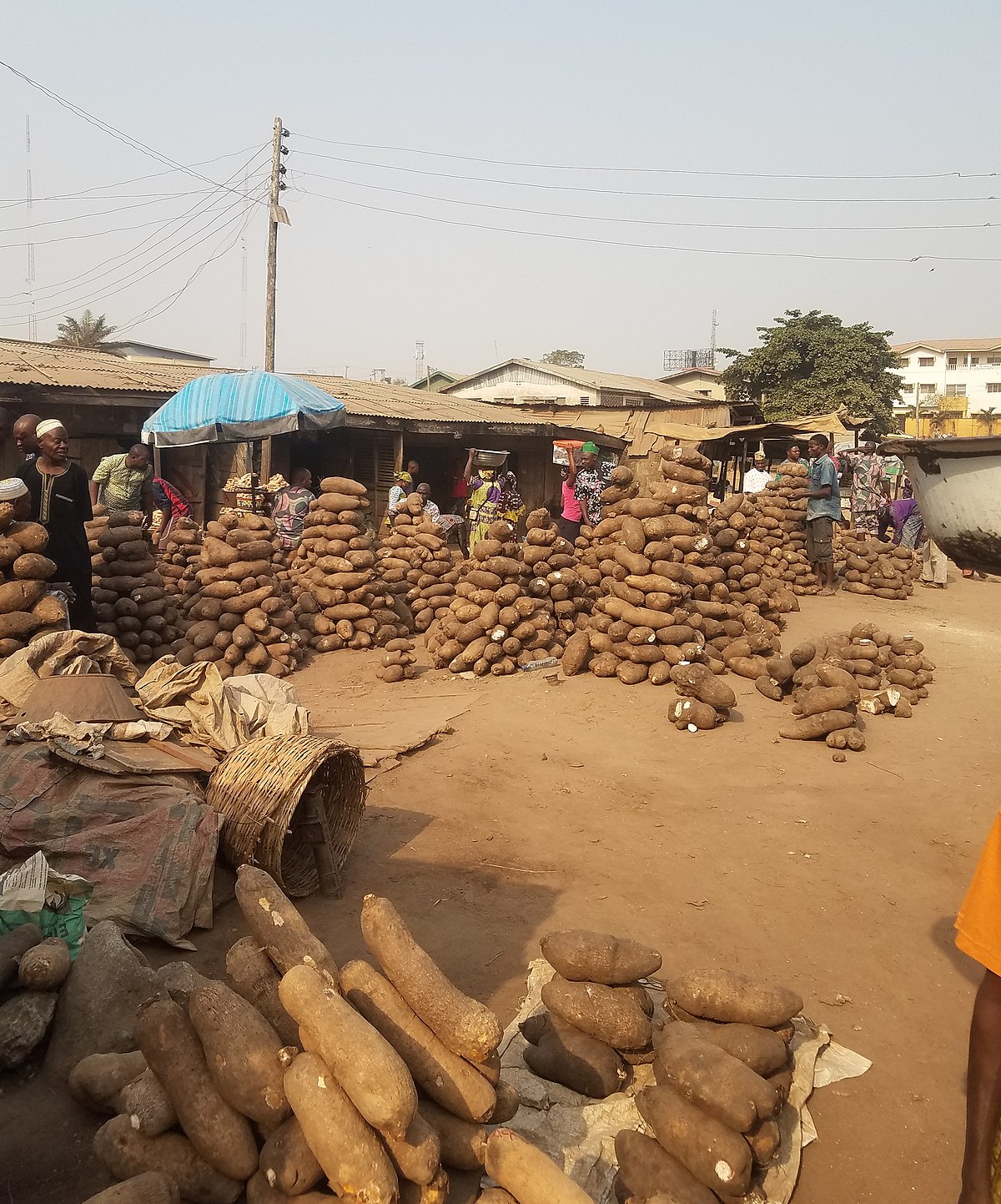 Most Of The World's Yams Come From This Country