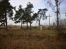 Cholerischer Friedhof aus dem 19. Jahrhundert in Zalesice-Kolonia