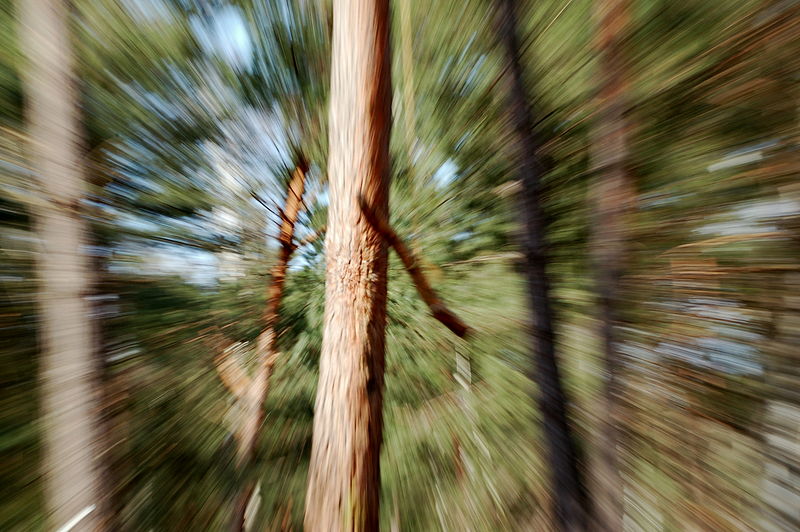 File:Zoom effect.jpg