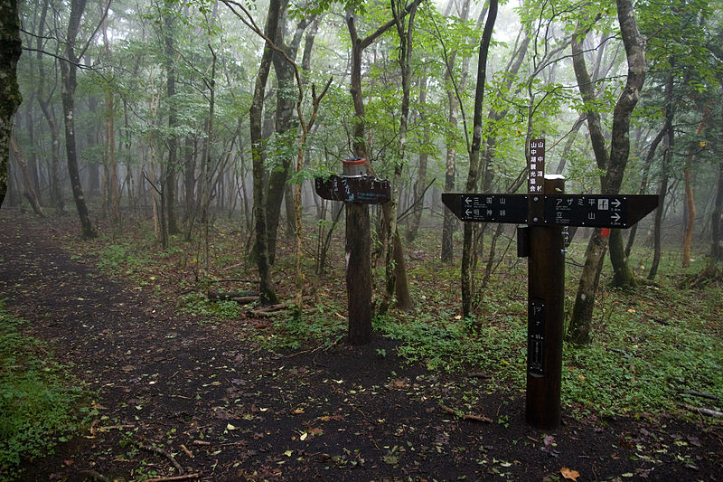 File:Zunasaka Pass.jpg