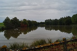 L’étang de la Haute-Rivière (ruisseau du Parc).