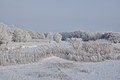 Мініатюра для версії від 06:43, 20 травня 2019