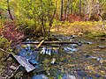 Родник с целебной водой (аршан)