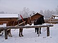 Миниатюра для версии от 06:18, 13 ноября 2014