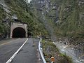 祥绿隧道 - Xianglyu Tunnel - 2012.02 - panoramio.jpg