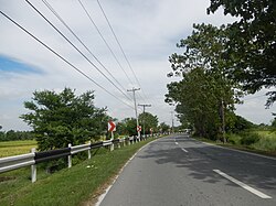 03875jfCabayaoasan Bridges Fields Paniqui Camiling Road Tarlacfvf 29.JPG