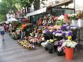 Quiosco de flores en La Rambla de Barcelona.
