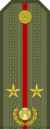 08. צבא קירגיזסטן- LT.svg
