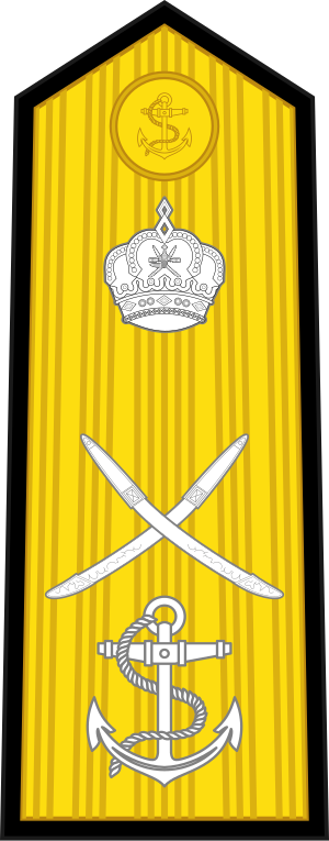 15.RNO-RADM (Sleeve).svg