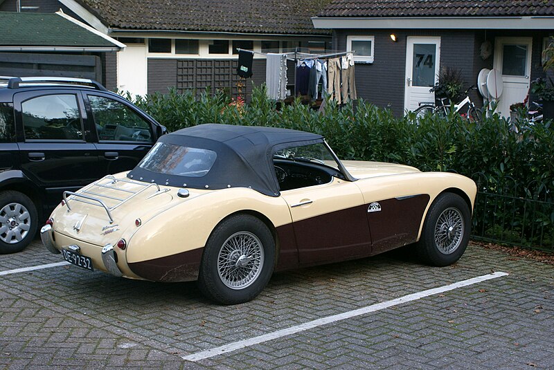 File:1960 Austin-Healey 3000 MK I (8881880165).jpg