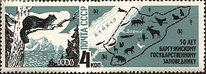 samur, 1966