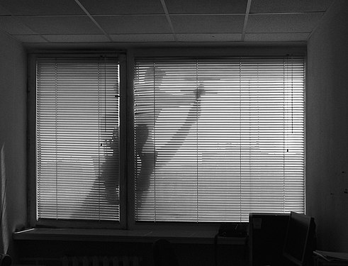 Silhouette and shadow of a window cleaner