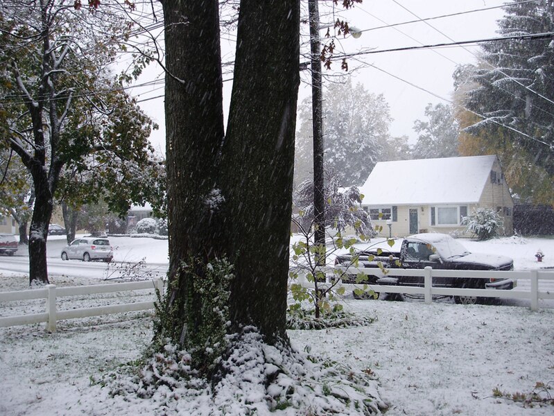 File:2011-10-29 14 00 00 07 The yard in front of a house along Terrace Boulevard with 1.8 inches of snow on the ground during the 2011 Halloween nor'easter in Ewing Township, Mercer County, New Jersey.jpg