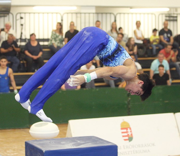 File:2019-05-25 Budapest Cup age group I all-around competition horizontal bar (Martin Rulsch) 103.jpg