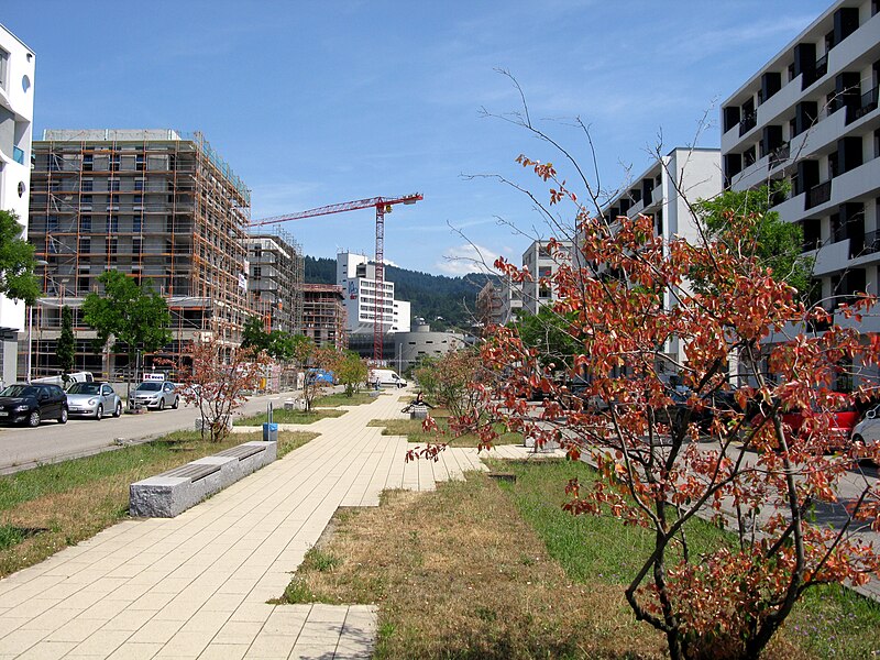 File:2019-07-09 Eugen-Martin-Straße auf dem früheren Güterbahnhofsgelände in Freiburg, im Hintergrund der Komturm.jpg