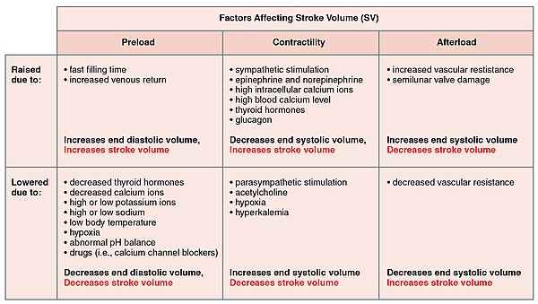 Stroke Volume