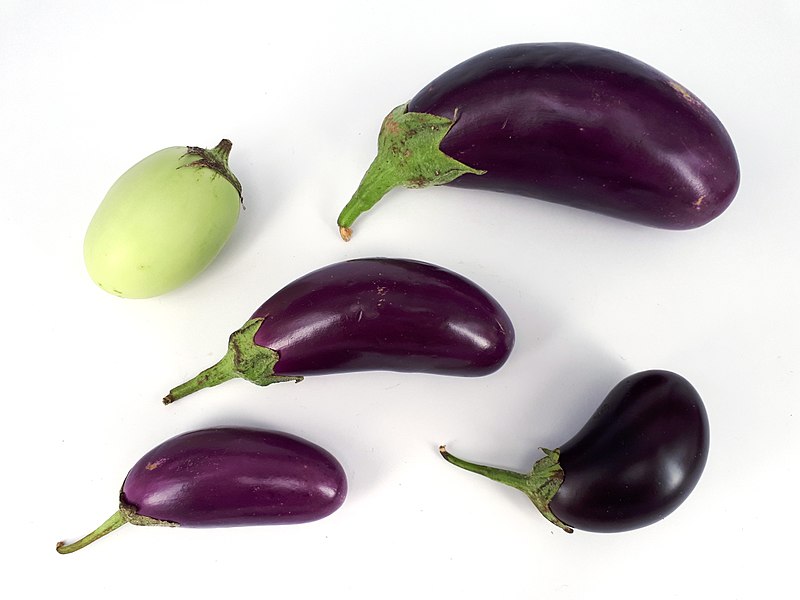 File:5 x Small eggplant 2017 A.jpg