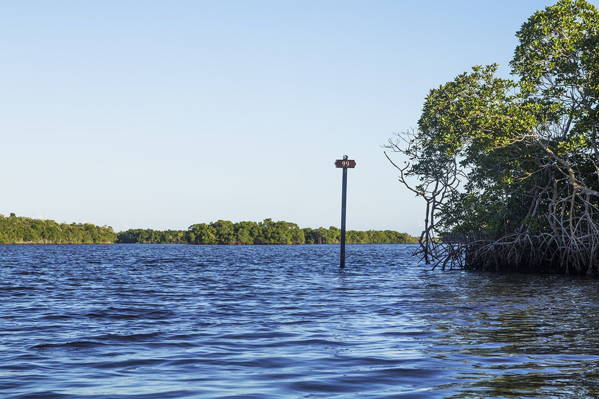 everglades wilderness waterway - wikipedia