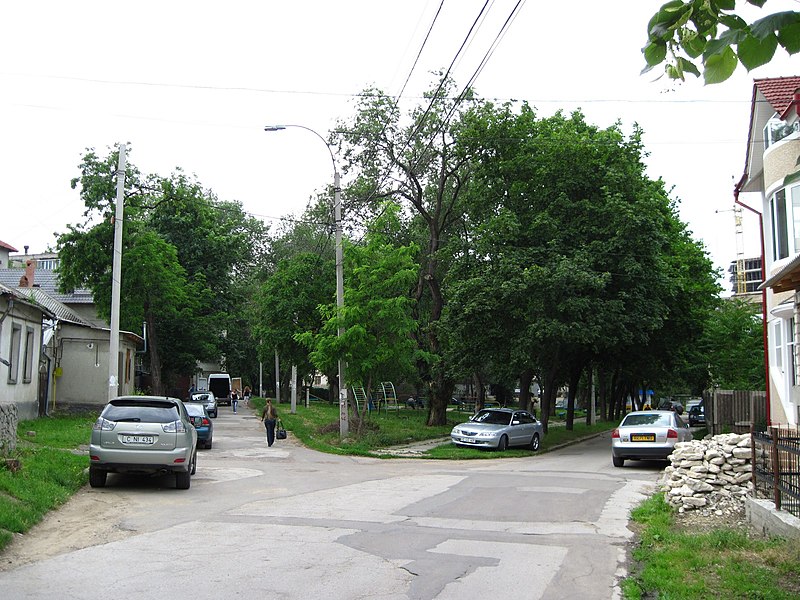 File:A small park at A. Hijdeu - G. Coşbuc crossing, looking NW - panoramio.jpg