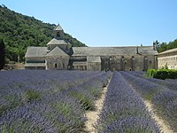 La abadía, rodeada de campos de Lavanda