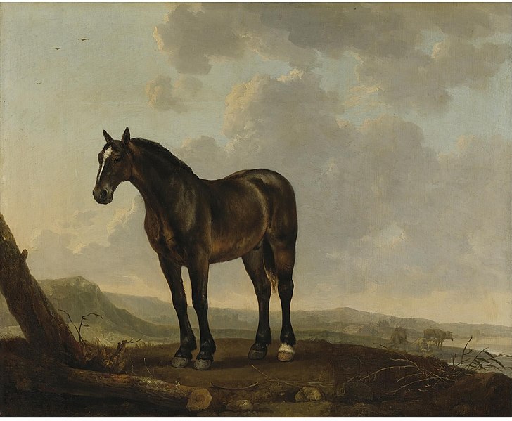 File:Abraham van Calraet - Landscape with a brown horse N08404-21-lr-1.jpg