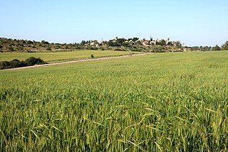 <span class="mw-page-title-main">Aderet, Israel</span> Place in Jerusalem, Israel