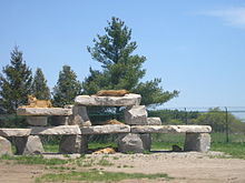 Lions resting