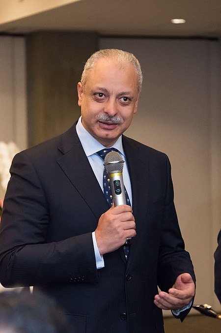 Amb. Ayman Kamel.jpg