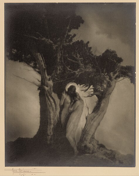 File:Anne W. Brigman (American) - The Heart of the Storm - Google Art Project.jpg