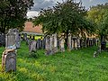 * Nomination Gravestones at the Jewish cemetery near Aufseß --Ermell 06:54, 23 January 2021 (UTC) * Promotion Good quality.--Famberhorst 07:24, 23 January 2021 (UTC)