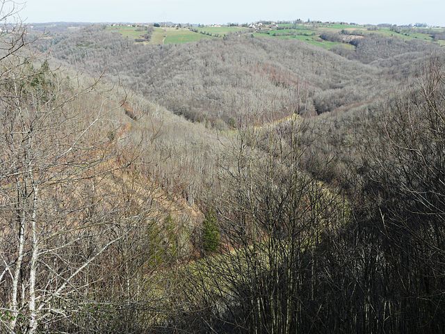 File:Auvézère (et Forge) gorges (1).JPG