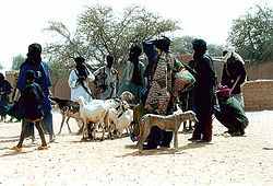 Sahel