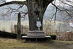 Zöttllinde bei der Eisernen Hand