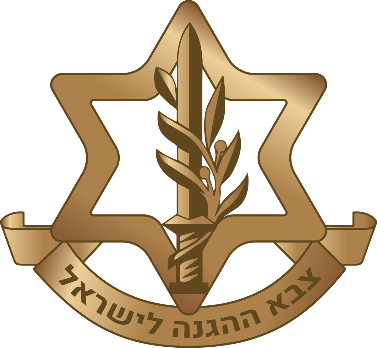 Women in the Israel Defense Forces - Wikipedia