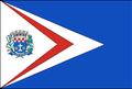 Bandeira de São João de Iracema
