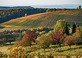 Beilstein - Billensbach - Blick vom Waldrand über Streuobstwiese auf Weinberge