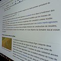 Dominique : saisie des informations concernant Belcier