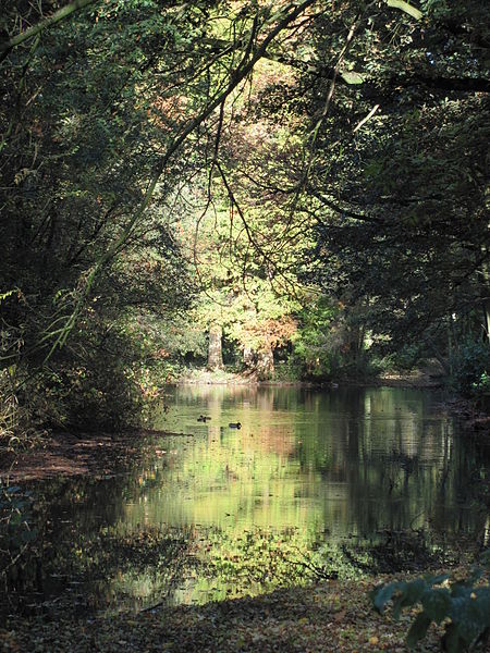 File:Berliner Park 2.jpg