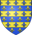 Fasciato di sei pezzi d'oro e d'azzurro, seminato di gigli dell'uno all'altro (Beaugency, Francia)