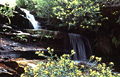 BlueMountains0086.jpg