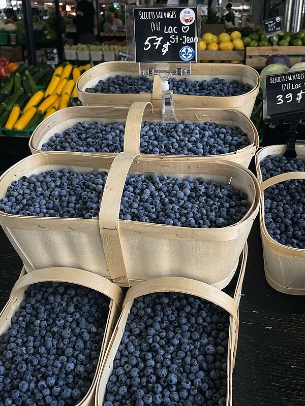 Blueberries in late July 2023 at the Jean Talon Market in Montreal