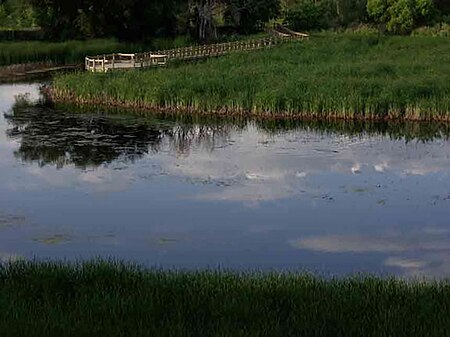 Bluff Lake reflections