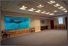 The "Boardroom" at the South Florida Museum is a unique meeting space with a view of the Parker Manatee Rehabilitation Habitat. Boardroom Photo.jpg